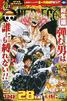 The 28th Log "Lucy"