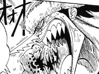 Nariz de Arlong